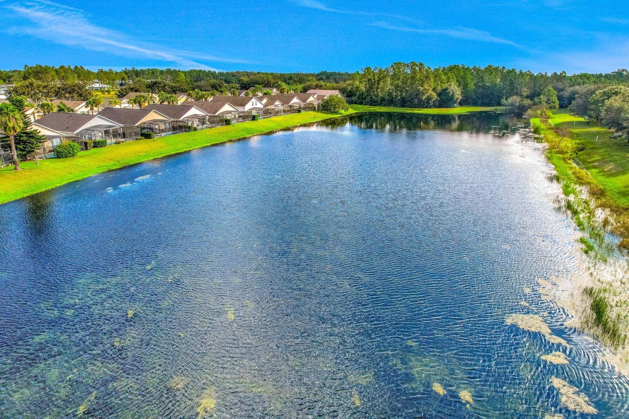 Waving Palms Villa Orlando Dış mekan fotoğraf